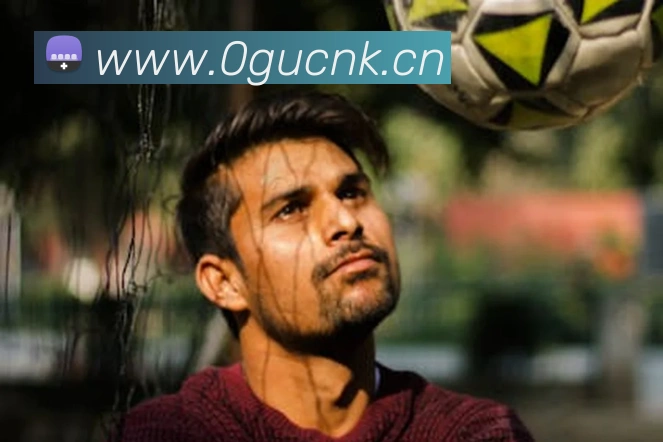 星空官方网站登录入口APP 封面图